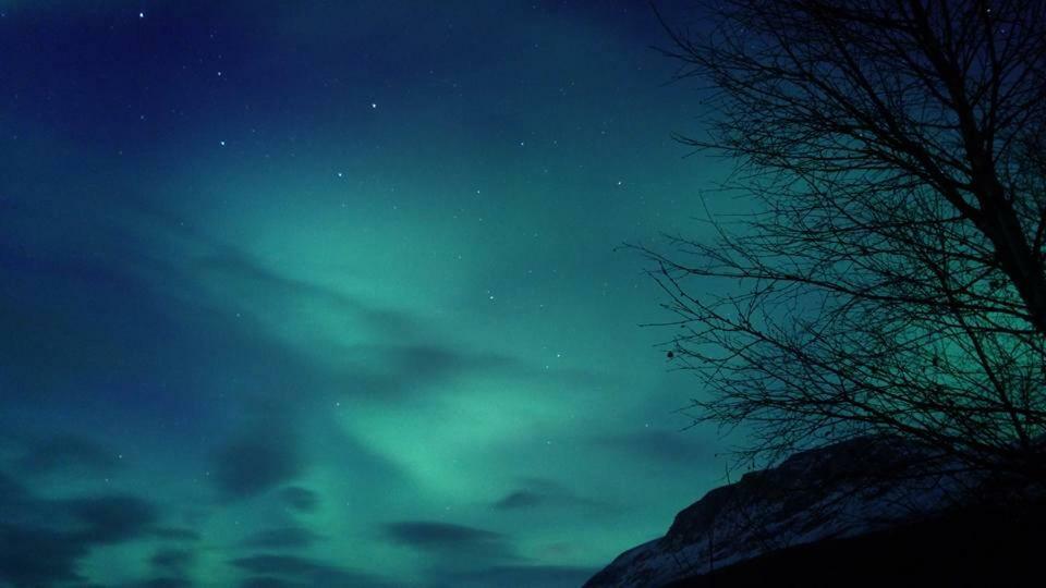 Ballangen Camping Narvik Exterior foto