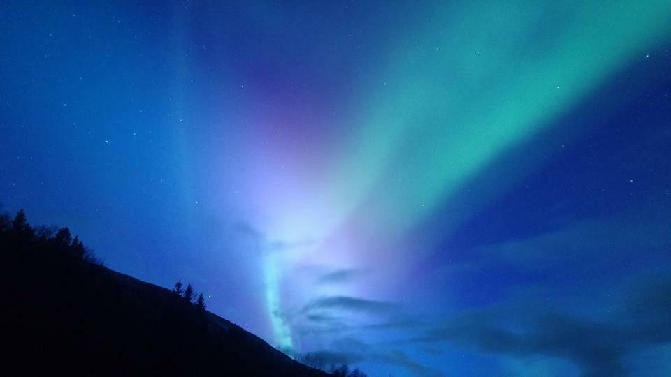 Ballangen Camping Narvik Exterior foto