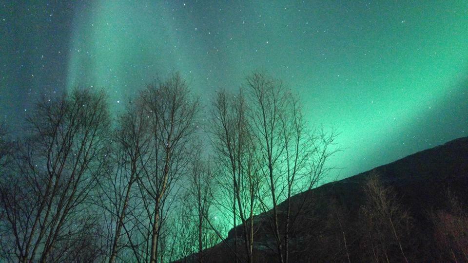 Ballangen Camping Narvik Exterior foto